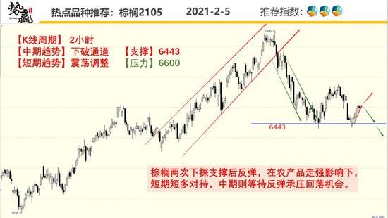 势赢交易2月8日热点品种技术分析