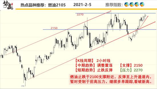 势赢交易2月8日热点品种技术分析
