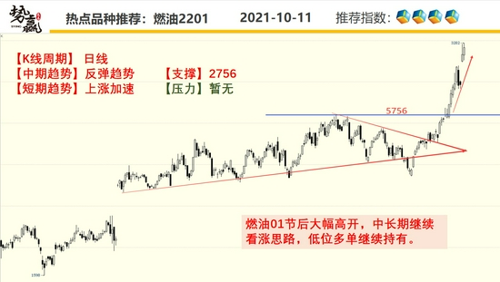 势赢交易10月12日热点品种技术分析