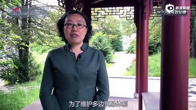 对话WTO：中国向微笑曲线两端拉伸有多难？