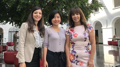 从瑞士巧克力背后关税玄机看智慧的贸易政策