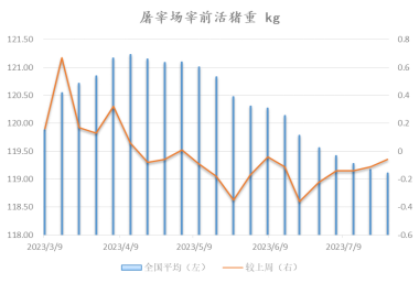 广发期货异动点评：情绪拉满，猪价节节高,第3张