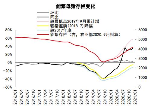 中信期货:蛋白粕:需求增速放缓 供应主导下料先抑后扬