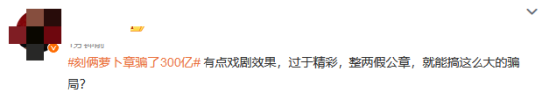 #刻俩萝卜章骗了300亿#话题上热搜！网友：电影剧本都不敢这么写