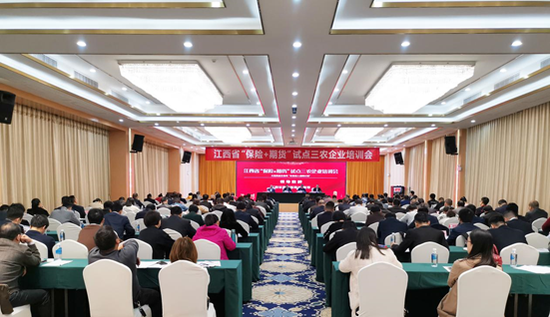 真人百家家乐破解方法·10万选朗逸,还是这款配置更高的合资车?