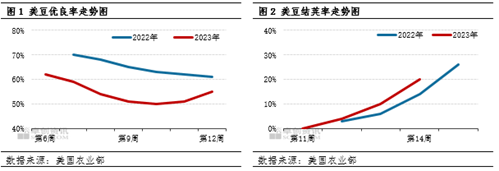 卓创资讯：美豆优良率继续回升 豆粕现货价格震荡运行