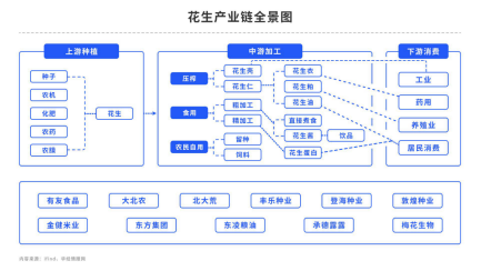 花生：博弈皆在新作花生，如何布局？