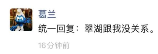 葛兰否认买入上海亿元豪宅！在管基金两年亏374亿，收了超26亿管理费