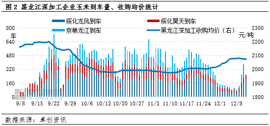 “玉”你同行:12月下半月东北玉米深加工成本存压、需求有利