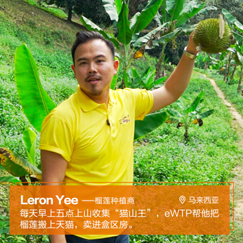 瑞丰手机版下载,关注|教育“造假”丑态百出!学校何以守住“育人”底线?