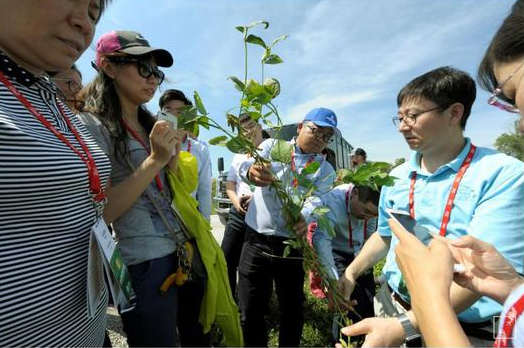 中国大豆进口商代表团参观美农场(图自路透社)
