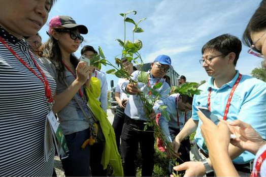 中国大豆进口商代表团参观美农场（图自路透社）