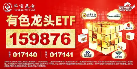 黄金爆火出圈，四川黄金涨停，有色龙头ETF（159876）盘中涨超4%，板块近1月累涨超19%！