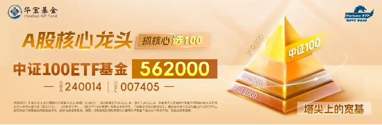 “宽基细说”之详解中证100——指数定位篇