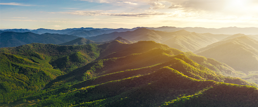 东方雨虹李卫国：众行致远