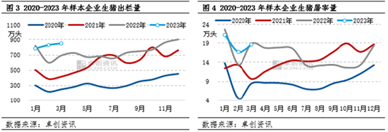 卓创资讯：生猪一季度“量、价、利”未达预期 业者看涨预期降温