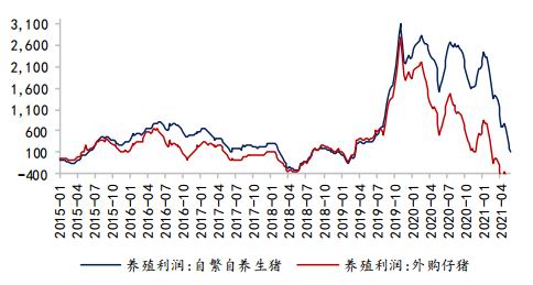 国都期货:豆粕:盘面仍存较强支撑 关注月底种植报告指引
