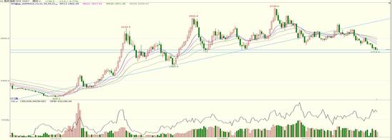 微信红包赌博新闻2019 世界杯金靴奖得主孙雯:南师点亮心灯 照我前行