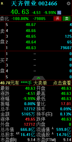 一季报预亏36亿-43亿元 天齐锂业竞价跌停