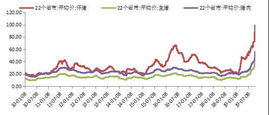 圣保罗最可靠赌场_本季最佳岛国恐怖片的编剧,竟然是一手捧红AKB48的男人
