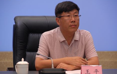 原四川省国土资源厅党委委员、副厅长王平接受