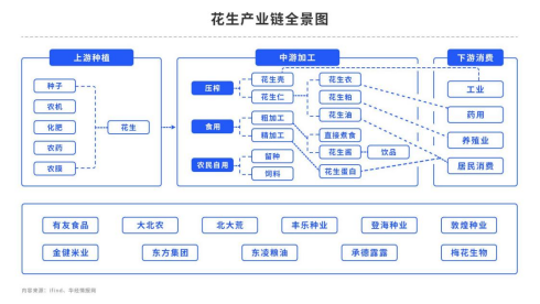 花生：新花生上市在即，何时入场是关键,第5张