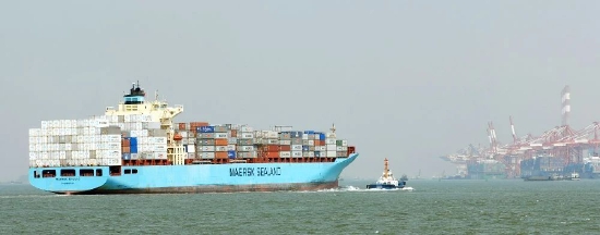 集运景气度下滑，去年日赚3亿的“海王”一季度业绩大跌75%