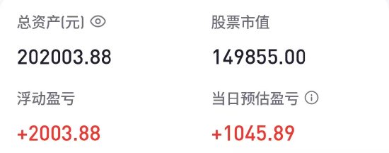 胡锡进:乐坏了!账面新增盈利1045元!接下来抓住跌幅较大的时候继续补仓