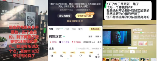 消费者对《树影迷宫》大结局单独收费的质疑