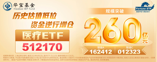2500亿CXO巨头飙涨超6%,医疗再度领涨大市!医疗ETF(512170)放量涨2%!主力资金连续10日增仓!