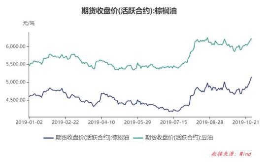 亚冠足球重播网,埃及人在修金字塔的时候,中国人在做什么?之二