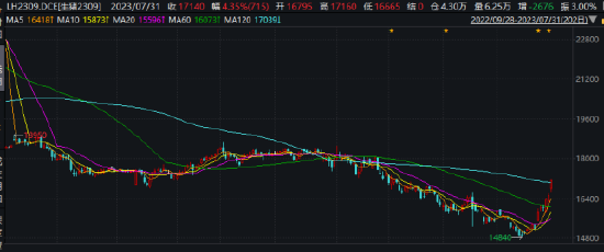 广发期货异动点评:情绪拉满,猪价节节高