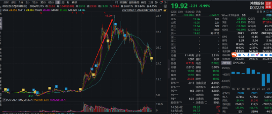 鸿博股份年报收关之际业绩预告由盈转亏 股价一字跌停信披涉嫌违规？