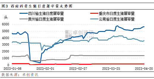 卓创资讯：双重利好刺激 西南猪价短线偏强