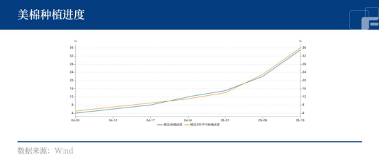 天气升水，旧作挤仓，棉价继续飙升？
