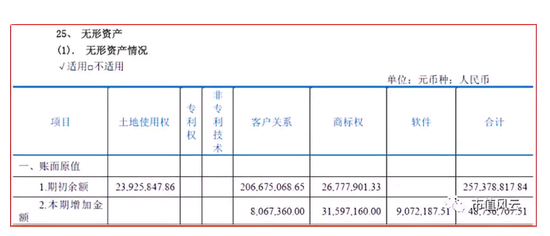 你好世界杯 上市公司里的球员资产:无形资产漫