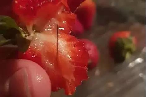 ▲藏针的草莓 （图源：每日邮报）