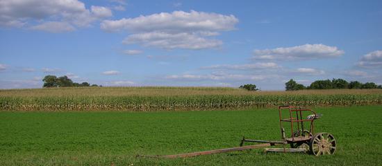 美国农业组织:美方挑起中美贸易摩擦对美国农
