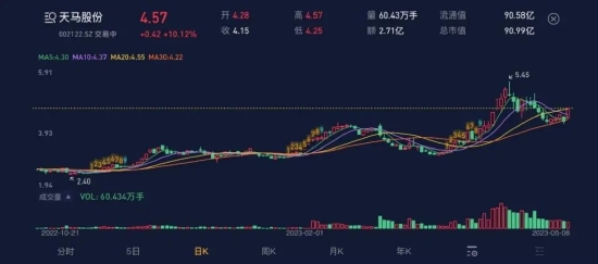 在天马股份的花园里面挖呀挖呀挖!非法占用33亿,血亏36亿:改名换面永不退市,只因对韭菜爱得深沉!