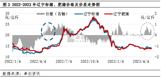 卓创资讯：淘汰母猪价格居高不下 三季度存下跌预期