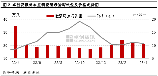 卓创资讯：淘汰母猪价格居高不下 三季度存下跌预期