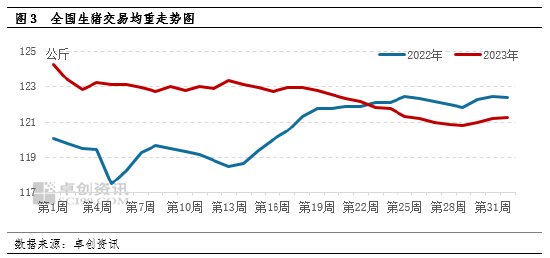 卓创资讯：规模场出栏偏多 或制约9月猪价上涨空间