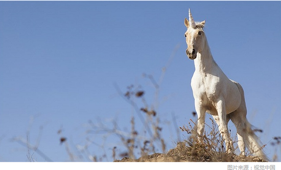 监管火线发通知 独角兽基金个人投资规模控制