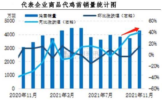 华联期货:存栏恢复缓慢 蛋价趋稳