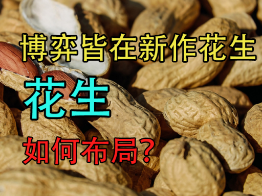 花生：博弈皆在新作花生，如何布局？