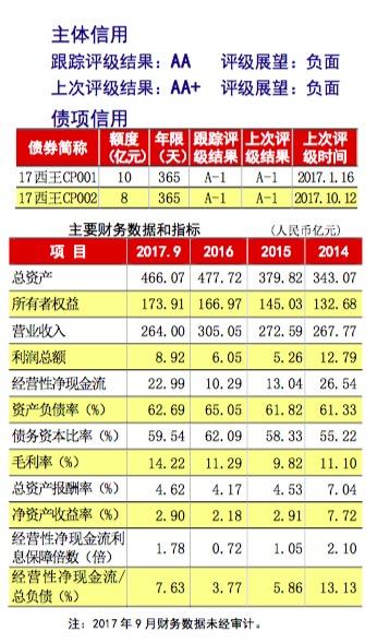 大公国际对西王集团评级截图,2018年2月24日。