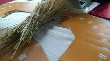 麦子金服2.5亿资金神秘消失
