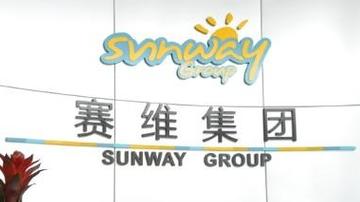 赛维危机6年 损失超230亿
