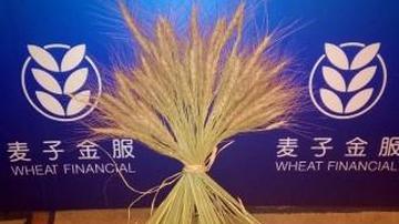 麦子金服合规路漫漫 被指暴力催收