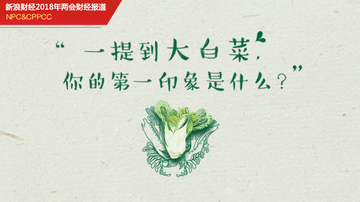 两会策划:白菜“成长史”